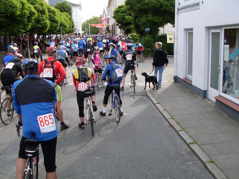 RTF Bad Oldesloe Peter 231
